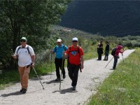 Calada de Alpajares 